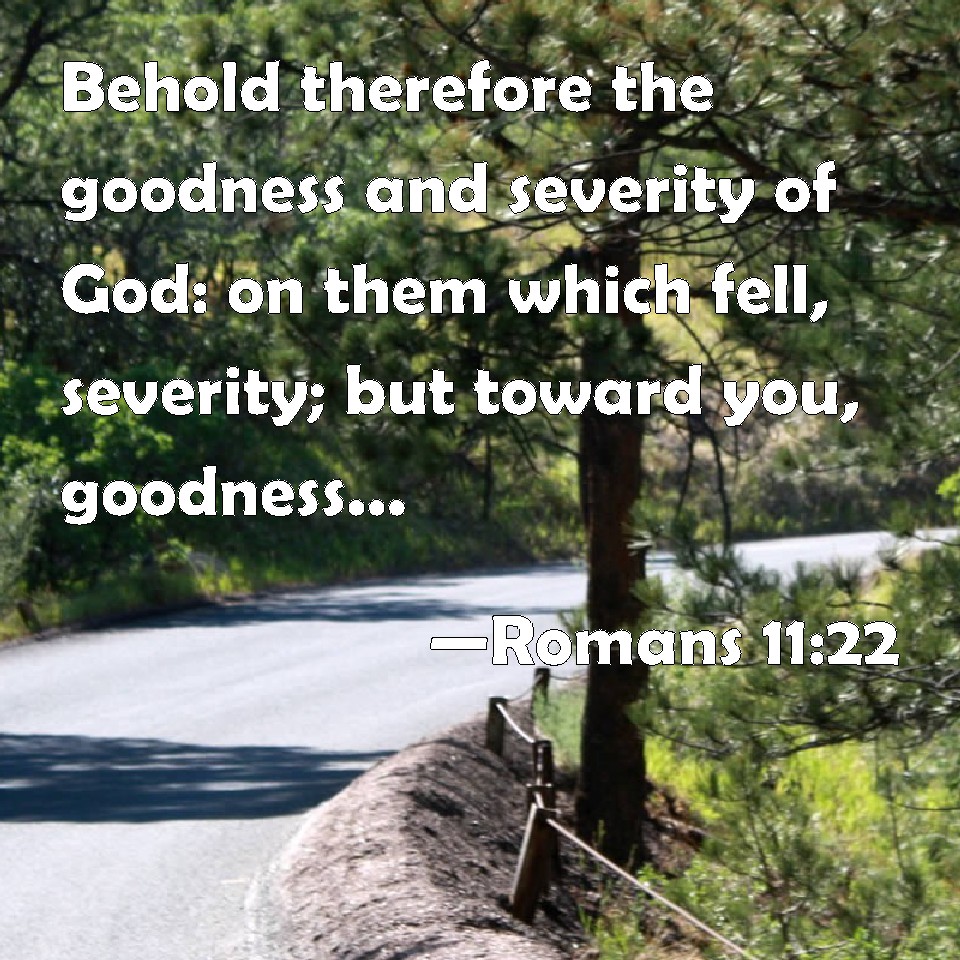 Romans 1122 Behold Therefore The Goodness And Severity Of God On Them Which Fell Severity