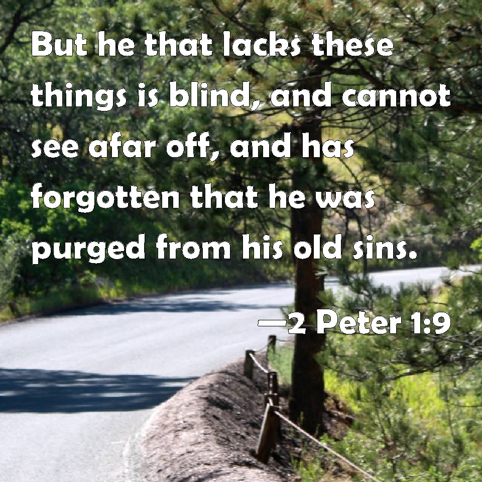 2 Peter 1:9 But He That Lacks These Things Is Blind, And Cannot See ...