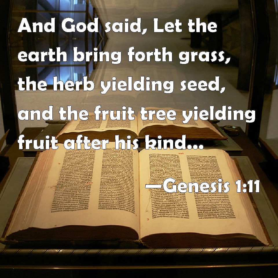 Genesis 1-11 and Work