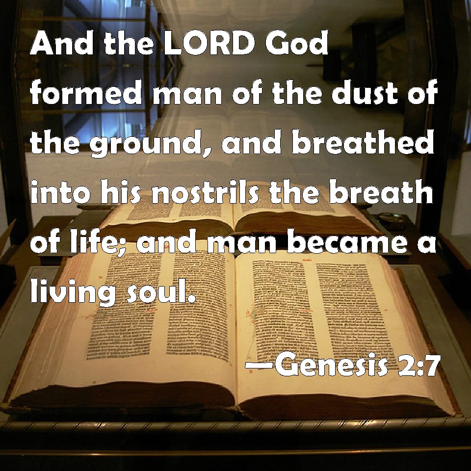 Genesis 2:7 And the LORD God formed man of the dust of the ground ...