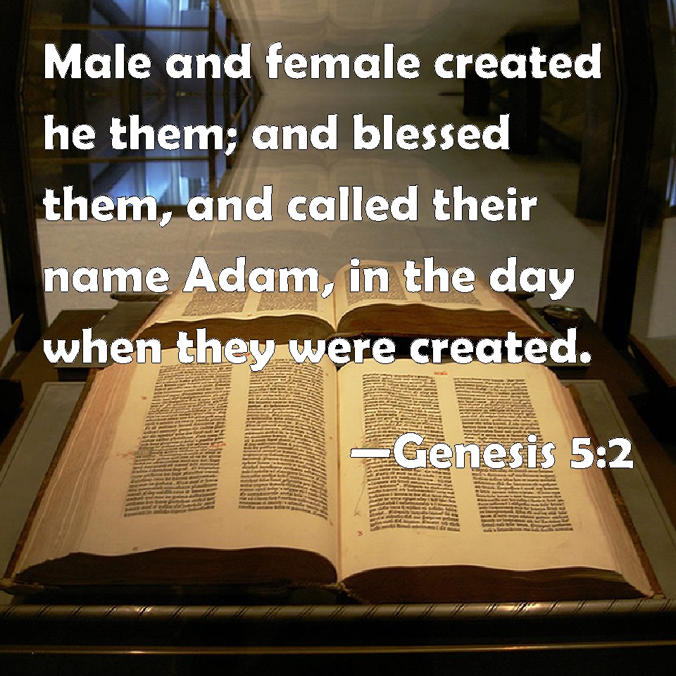 Genesis 5:2 Male and female created he them; and blessed them, and called  their name Adam, in the day when they were created.