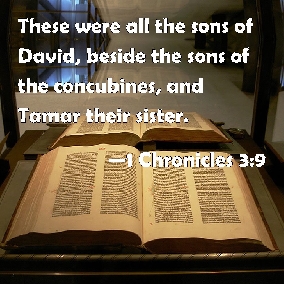 1 Chronicles 3:9 These were all the sons of David, beside the sons of the  concubines, and Tamar their sister.