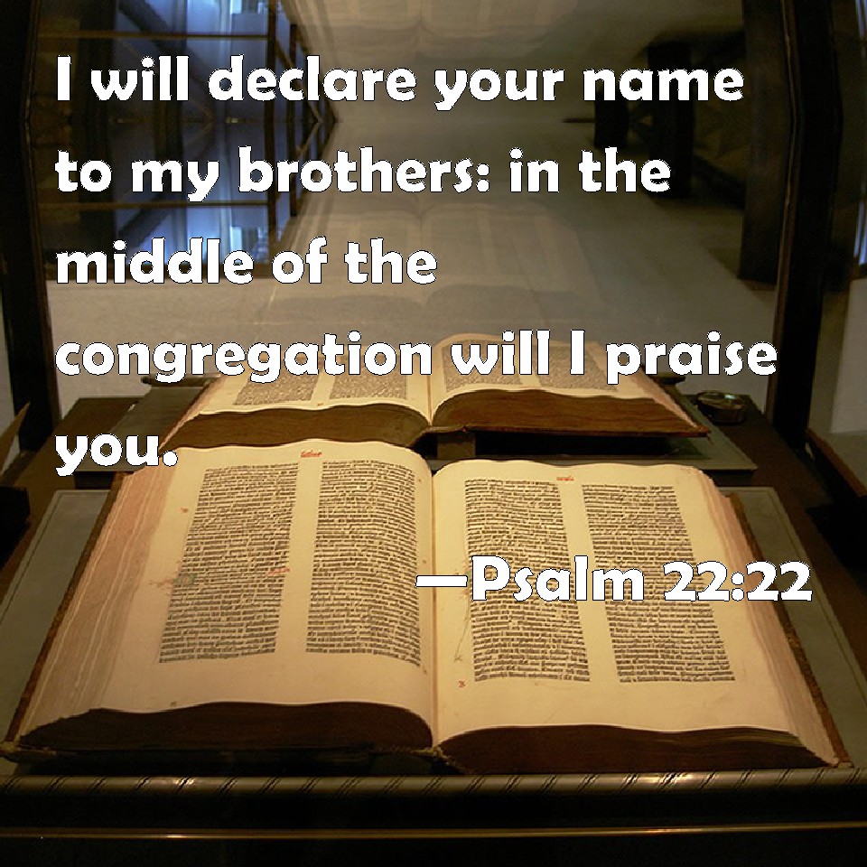 Psalm 22 22 I Will Declare Your Name To My Brothers In The Middle Of 
