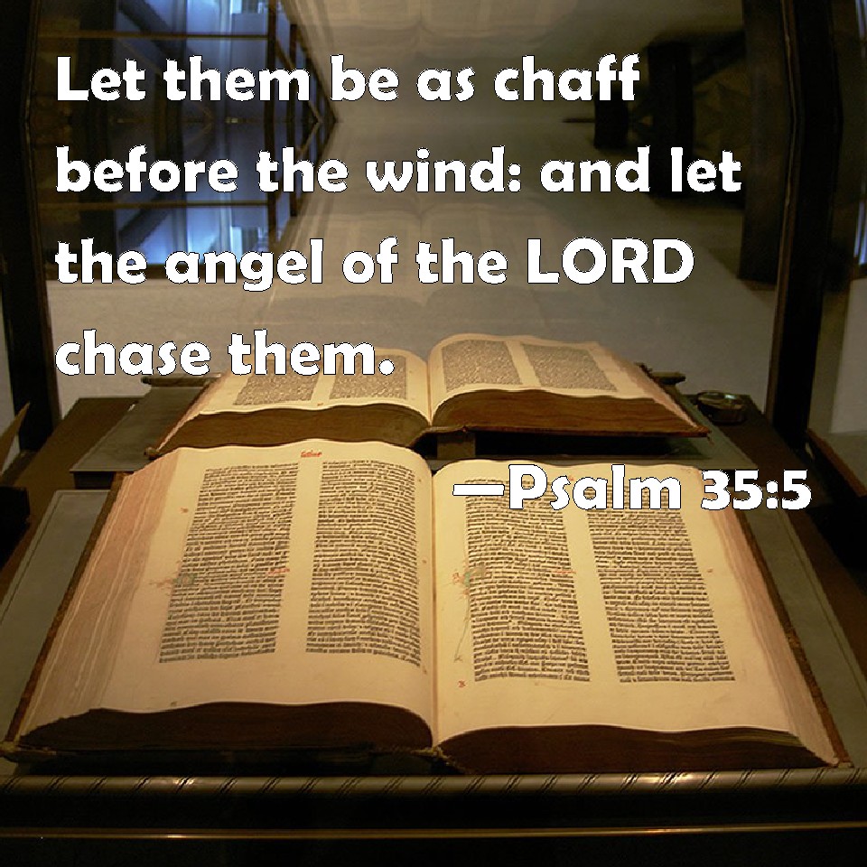 Psalm 35 5 Let Them Be As Chaff Before The Wind And Let The Angel Of 