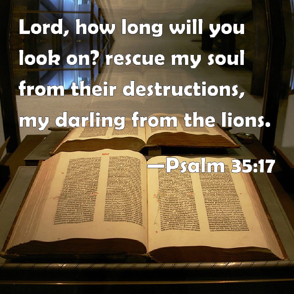 psalm-35-17-lord-how-long-will-you-look-on-rescue-my-soul-from-their