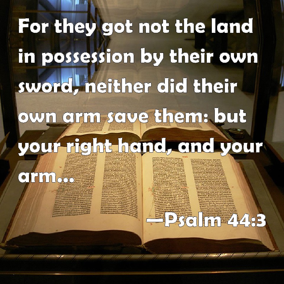 Psalm 44 3 For They Got Not The Land In Possession By Their Own Sword 