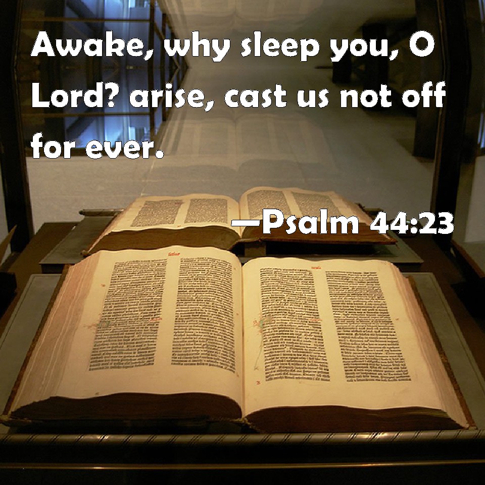 Psalm 44:23 Awake, why sleep you, O Lord? arise, cast us not off for ever.