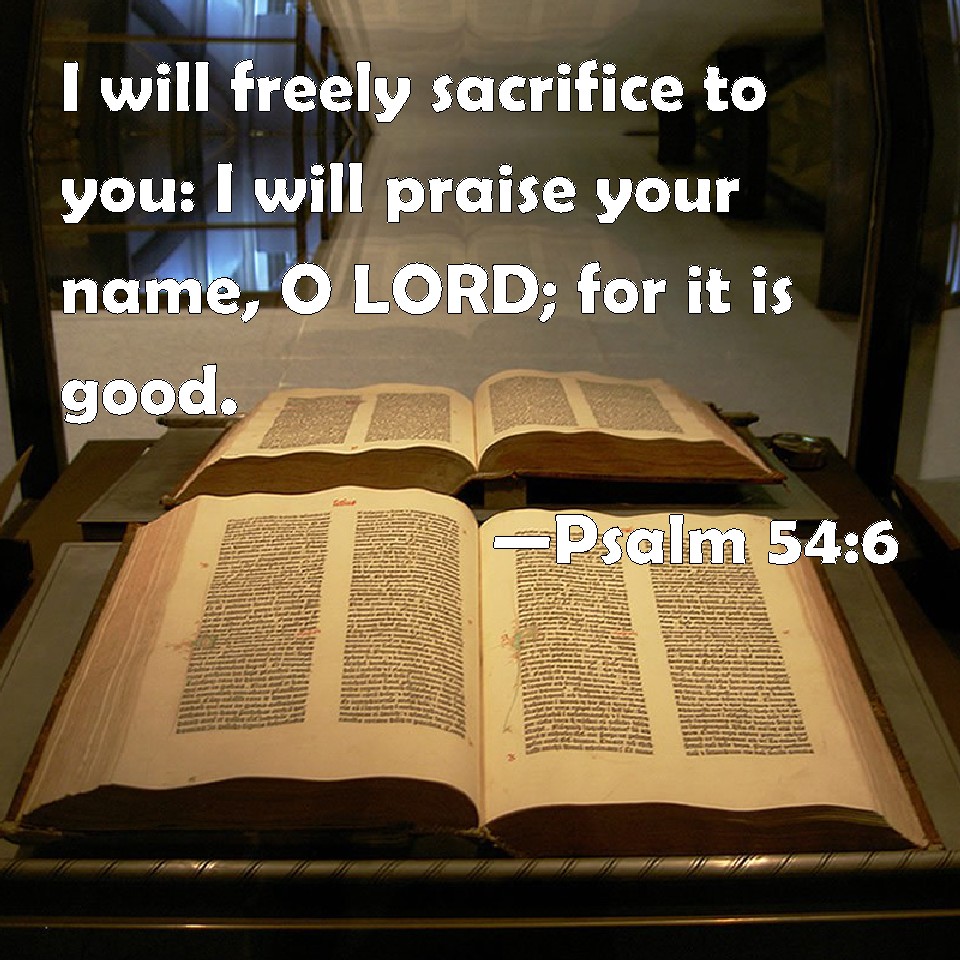 Psalm 54 6 I Will Freely Sacrifice To You I Will Praise Your Name O 