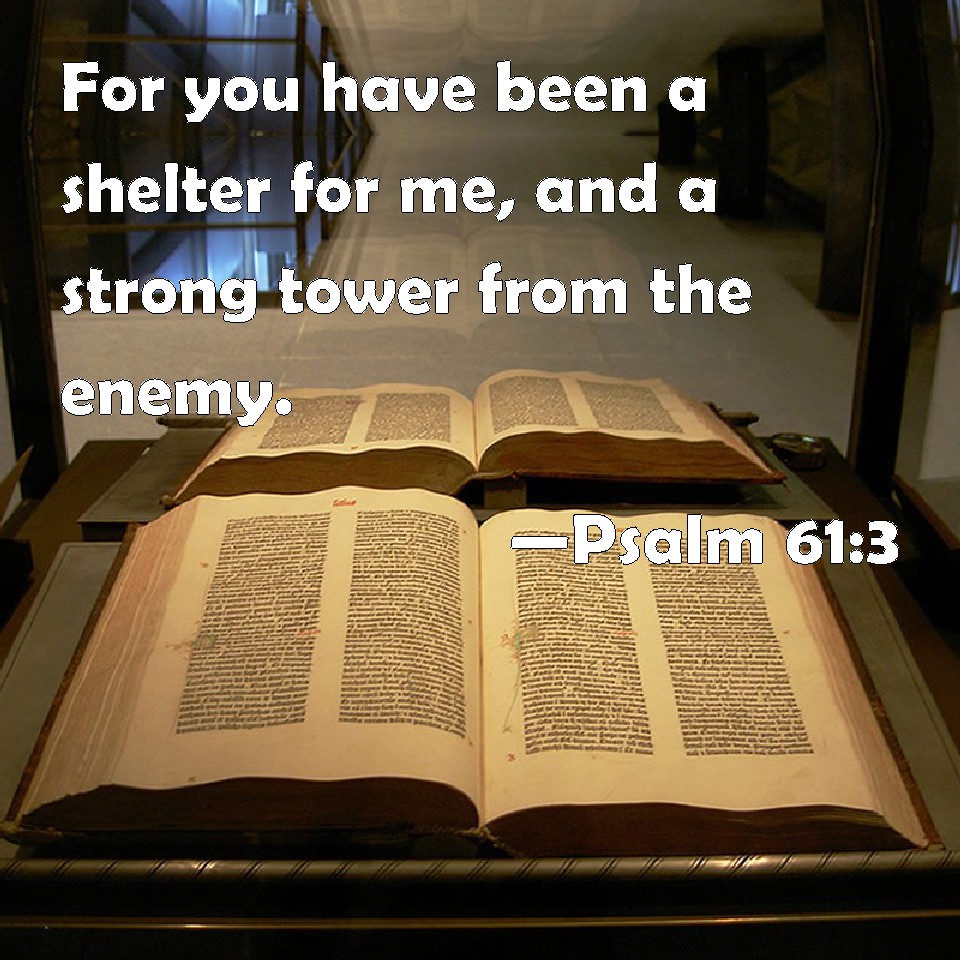 Psalm 61 3 For You Have Been A Shelter For Me And A Strong Tower From 