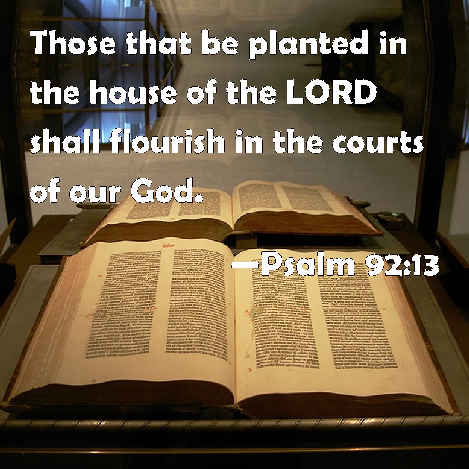 psalm-92-13-those-that-be-planted-in-the-house-of-the-lord-shall