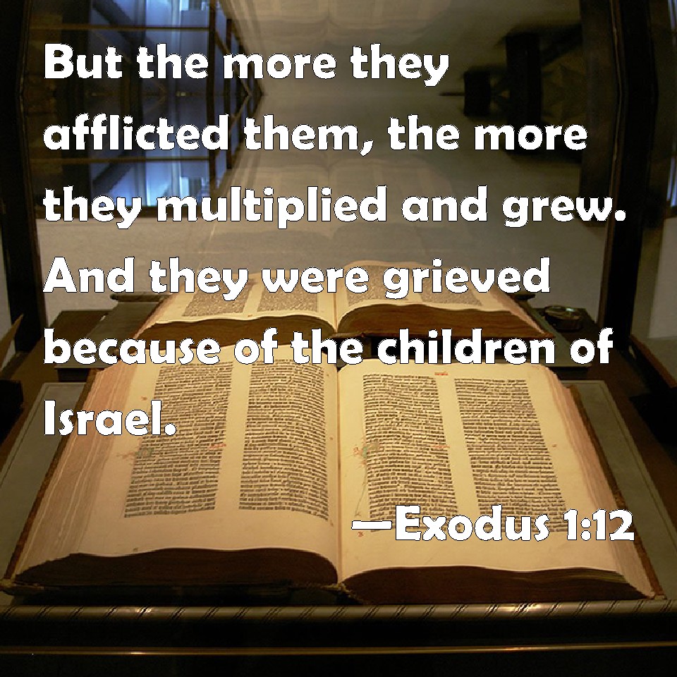Exodus 1:12 But the more they afflicted them, the more they multiplied