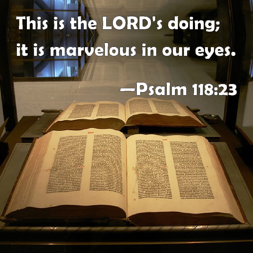 Psalm 118:23 This is the LORD&#39;s doing; it is marvelous in our eyes.
