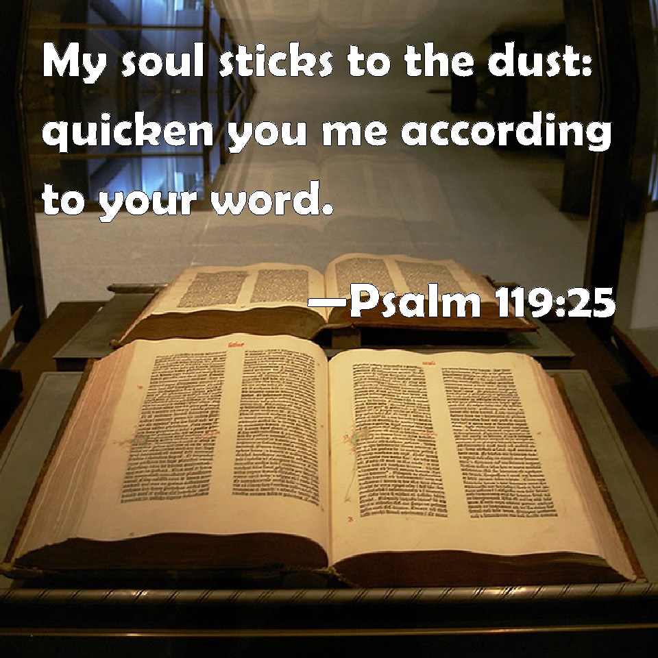 psalm-119-25-my-soul-sticks-to-the-dust-quicken-you-me-according-to