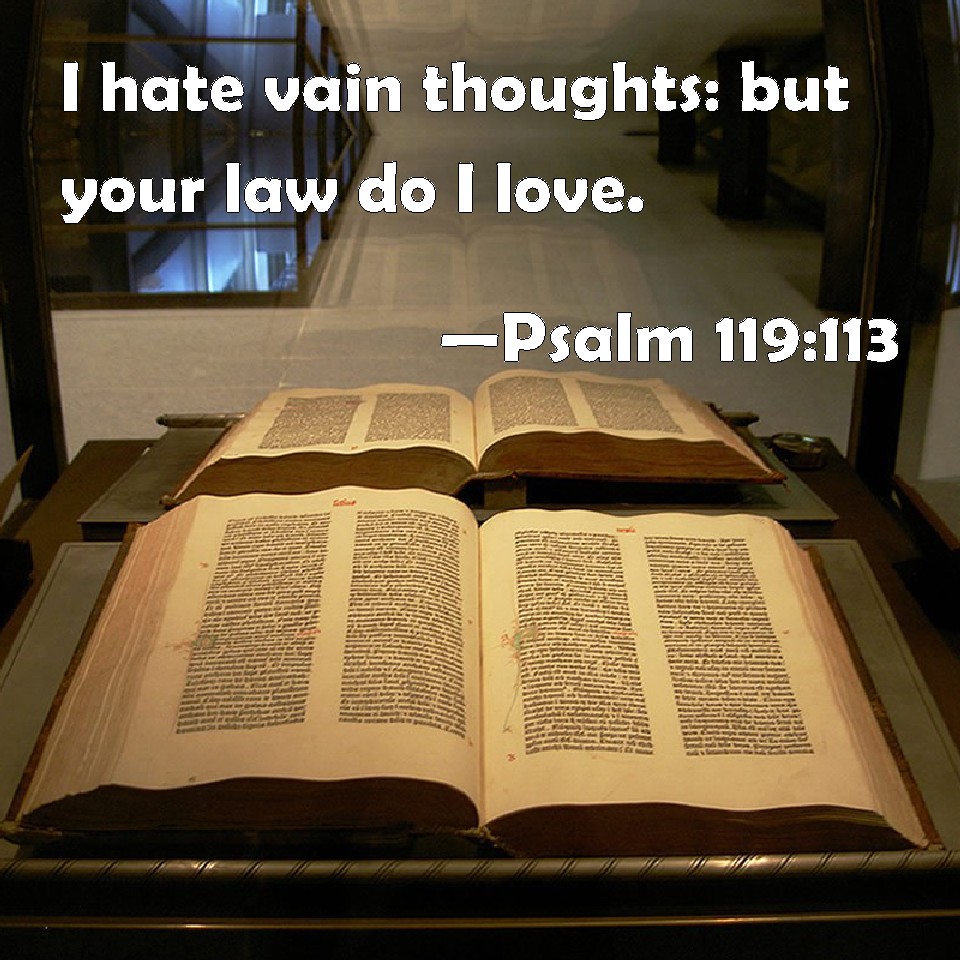 Psalm 119 113 I Hate Vain Thoughts But Your Law Do I Love 