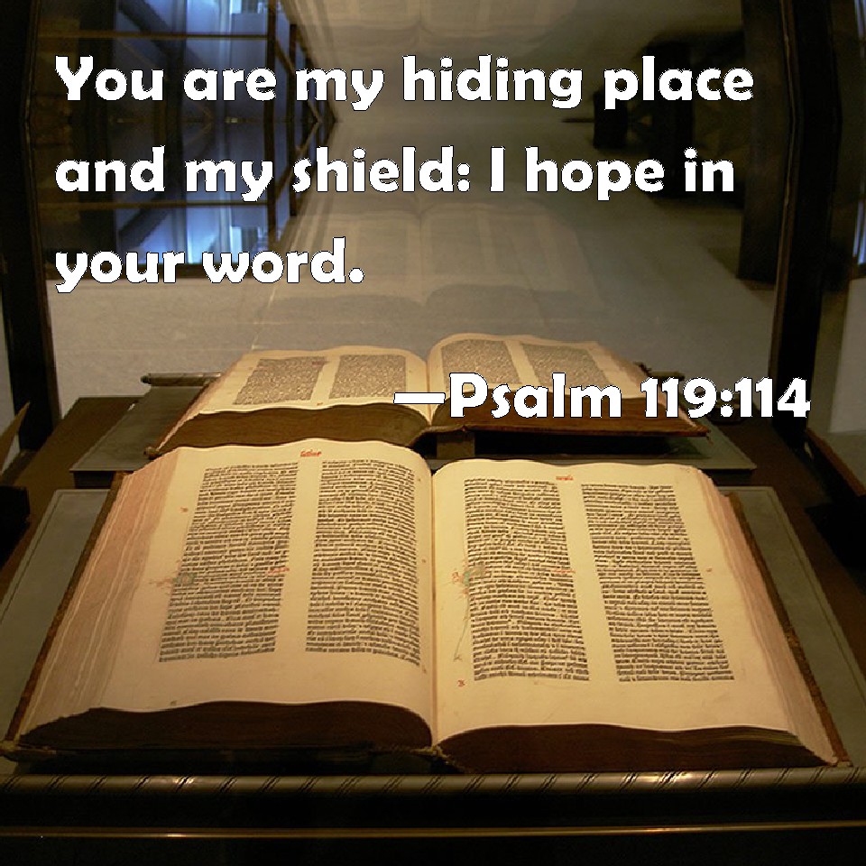 Psalm 119 114 You Are My Hiding Place And My Shield I Hope In Your Word 