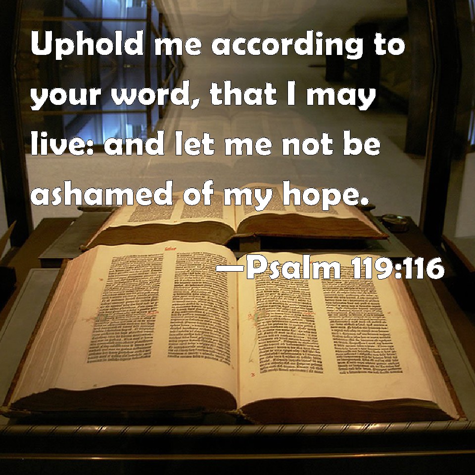 Psalm 119 116 Uphold Me According To Your Word That I May Live And 