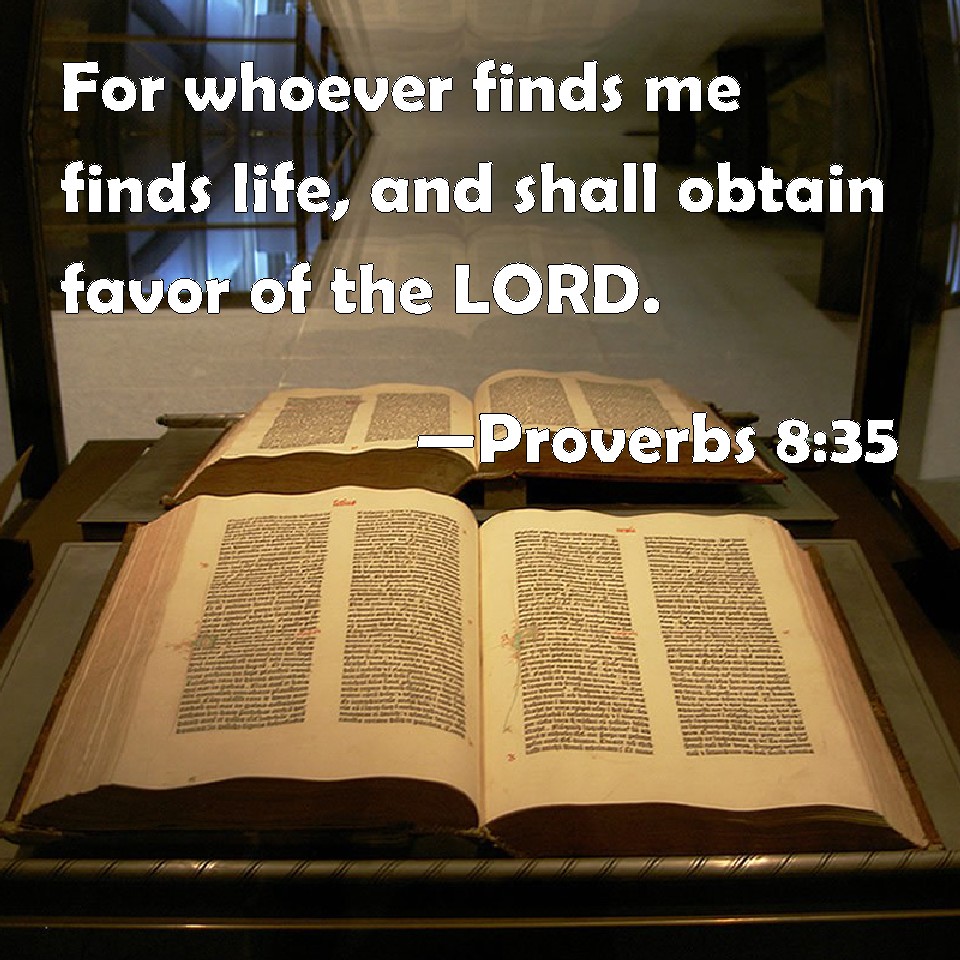 Proverbs 8 35 For Whoever Finds Me Finds Life And Shall Obtain Favor 
