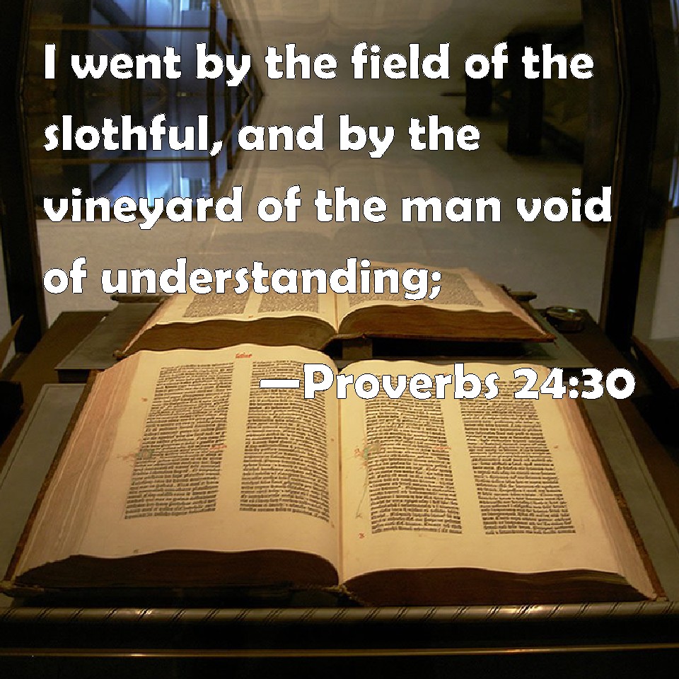 proverbs-24-30-i-went-by-the-field-of-the-slothful-and-by-the-vineyard