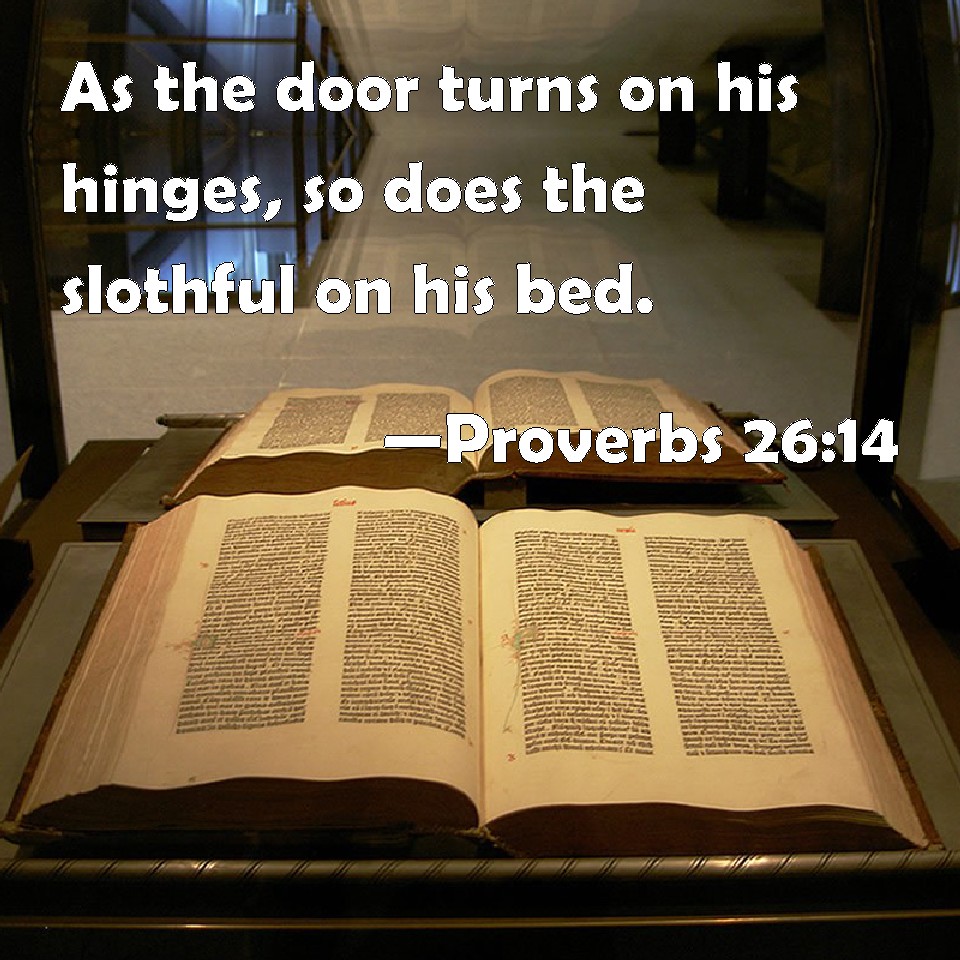 proverbs 14 26