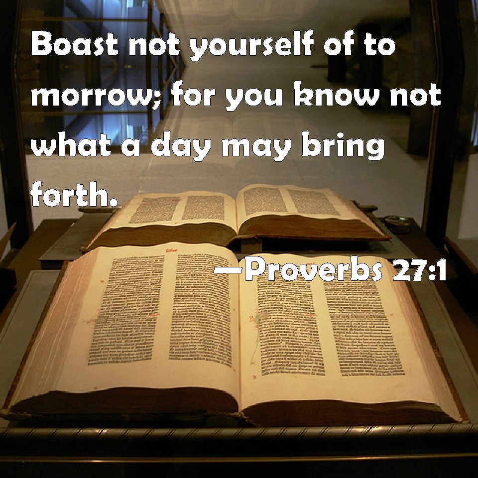 Proverbs 27:1 Boast Not Yourself Of To Morrow; For You Know Not What A Day  May Bring Forth.