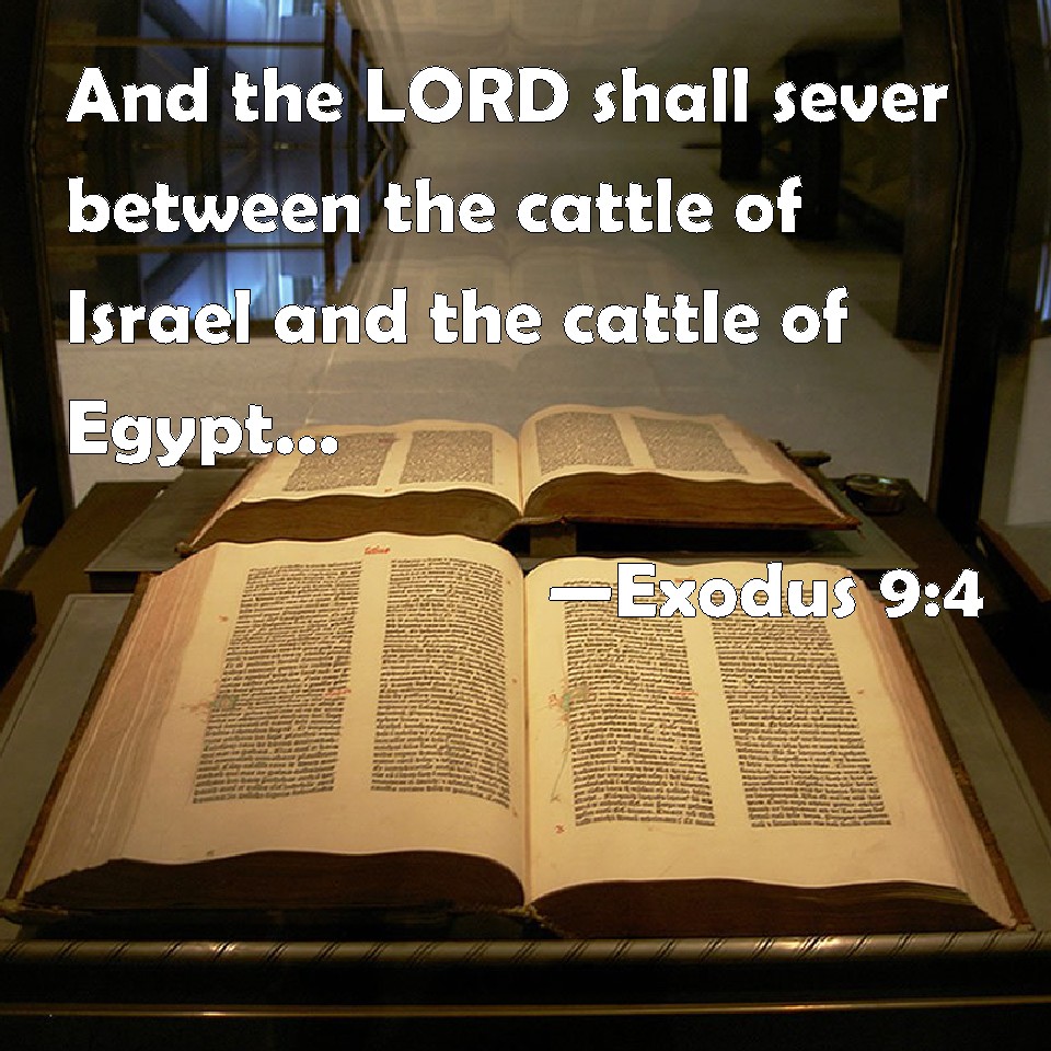 Exodus 9:4 And the LORD shall sever between the cattle of Israel and the  cattle of Egypt: and there shall nothing die of all that is the children's  of Israel.