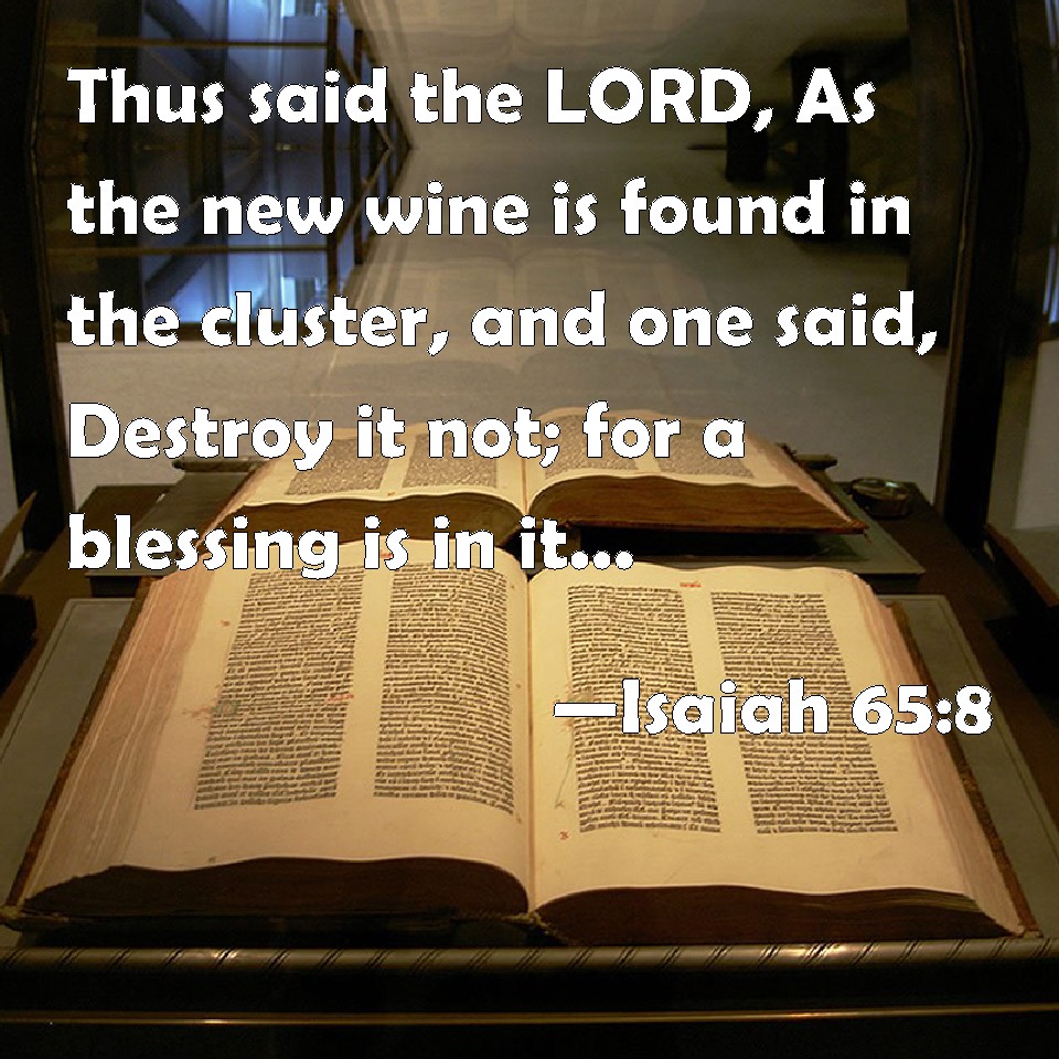 Isaiah 65 8 Thus Said The LORD As The New Wine Is Found In The Cluster 