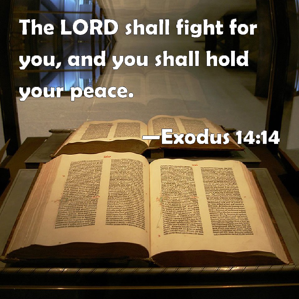 Exodus 1413 Wallpaper Email Banner Picture  The Fellowship Site