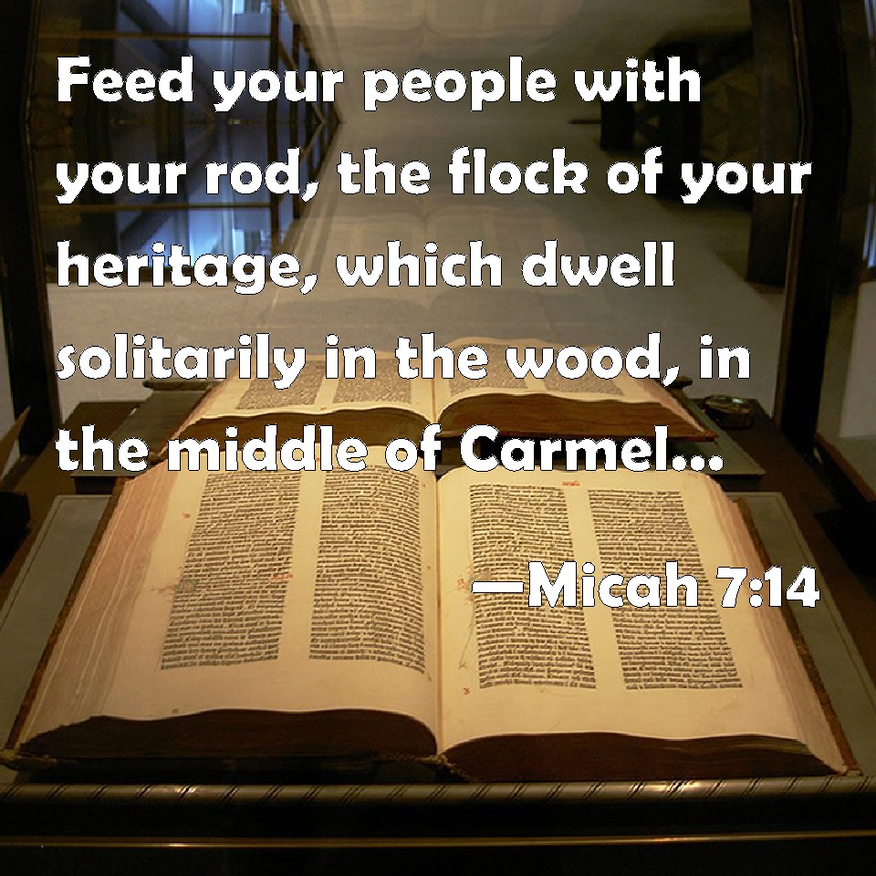 Micah 7:14 Feed your people with your rod, the flock of your ...
