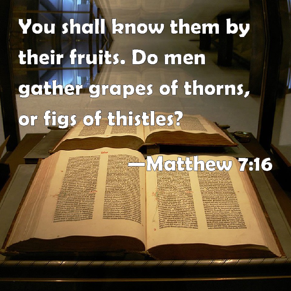 Image result for "Ye shall know them by their fruits" - Matthew 7:16