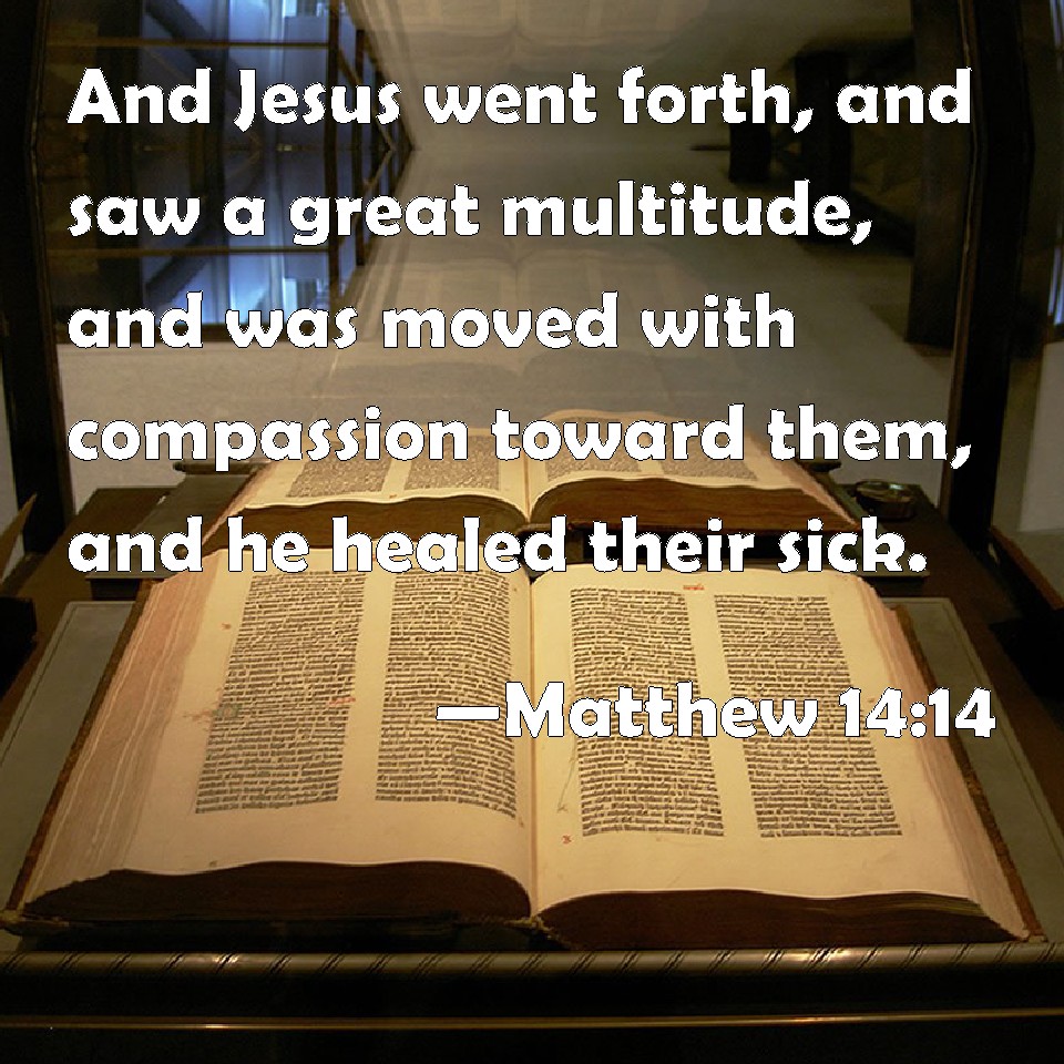 Matthew 14 14 And Jesus Went Forth And Saw A Great Multitude And Was 