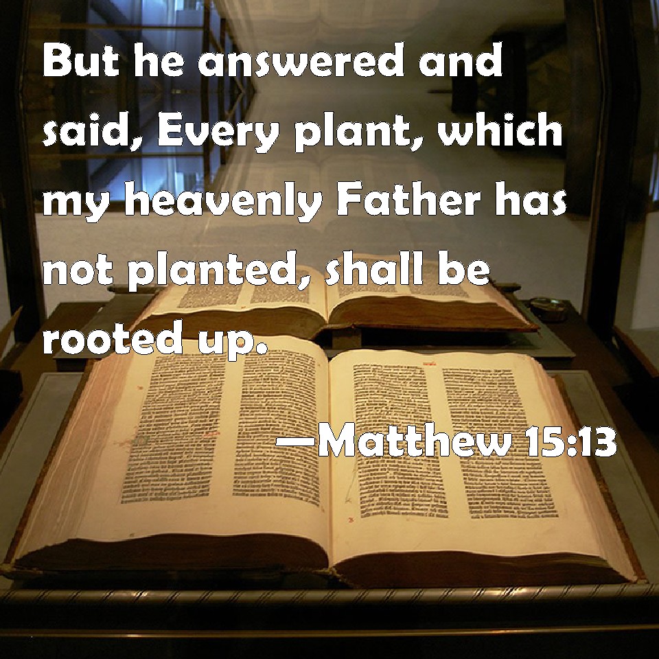 Matthew 15:13 He replied, “Every plant that my heavenly Father has