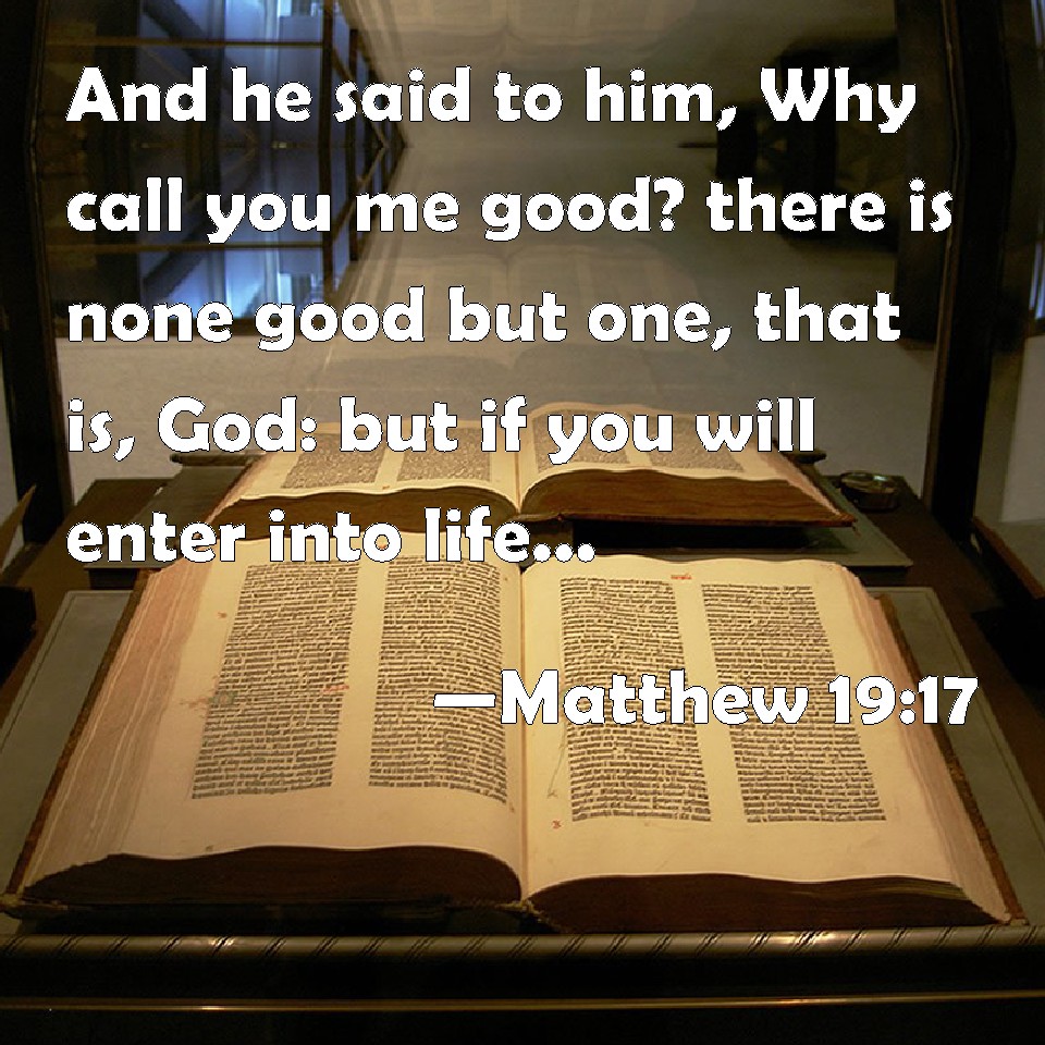 matthew 17 19