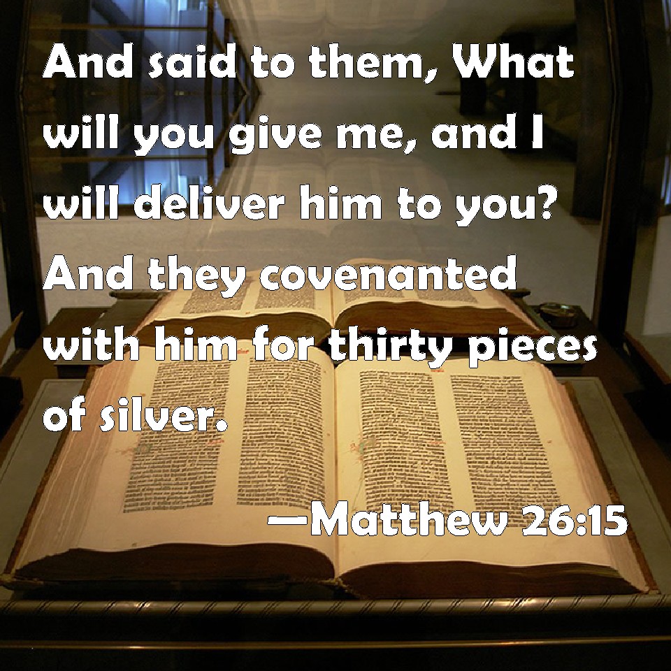 matthew 15 26 28 niv