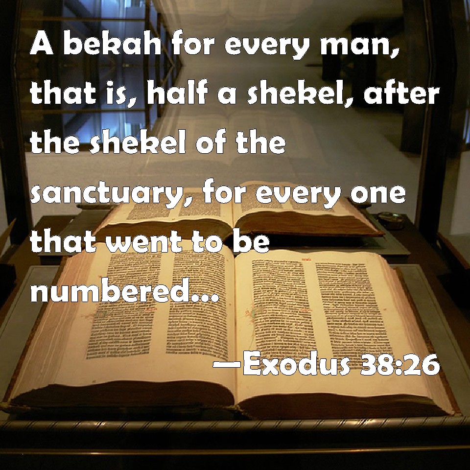 Exodus 38 26 A Bekah For Every Man That Is Half A Shekel After The 