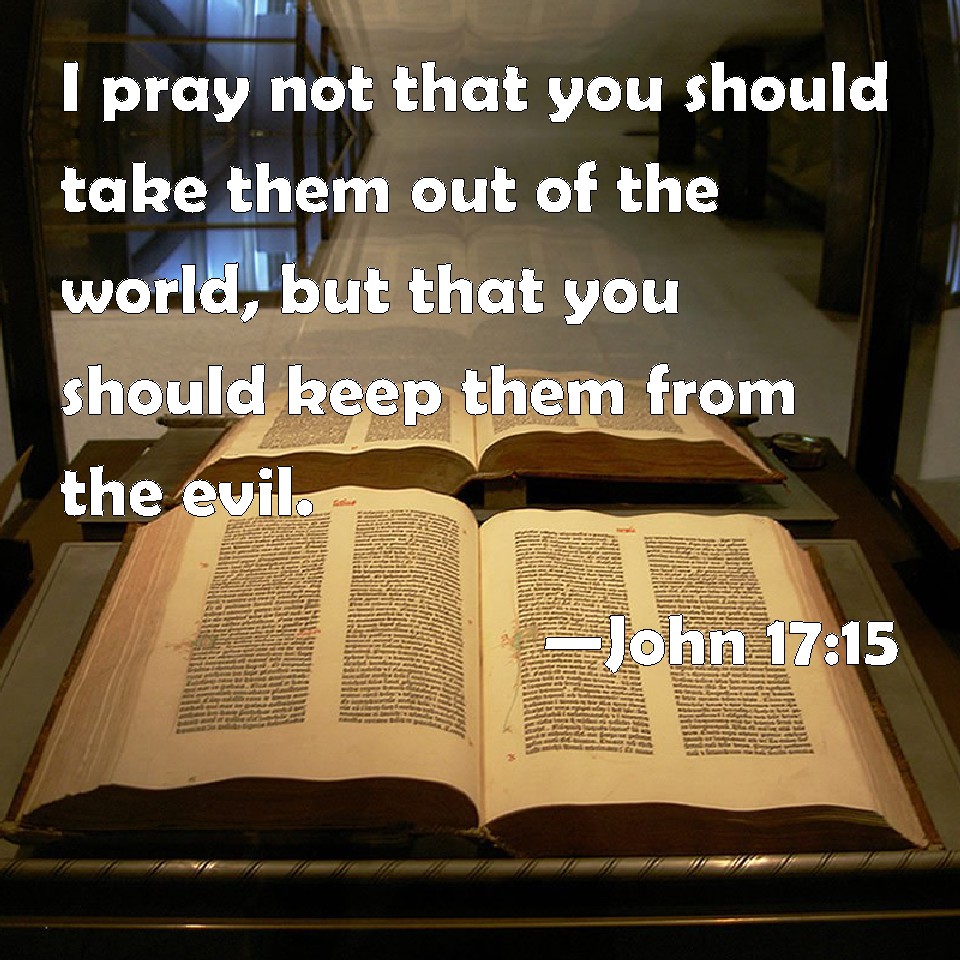 John 17:15 I pray not that you should take them out of the world, but that  you should keep them from the evil.