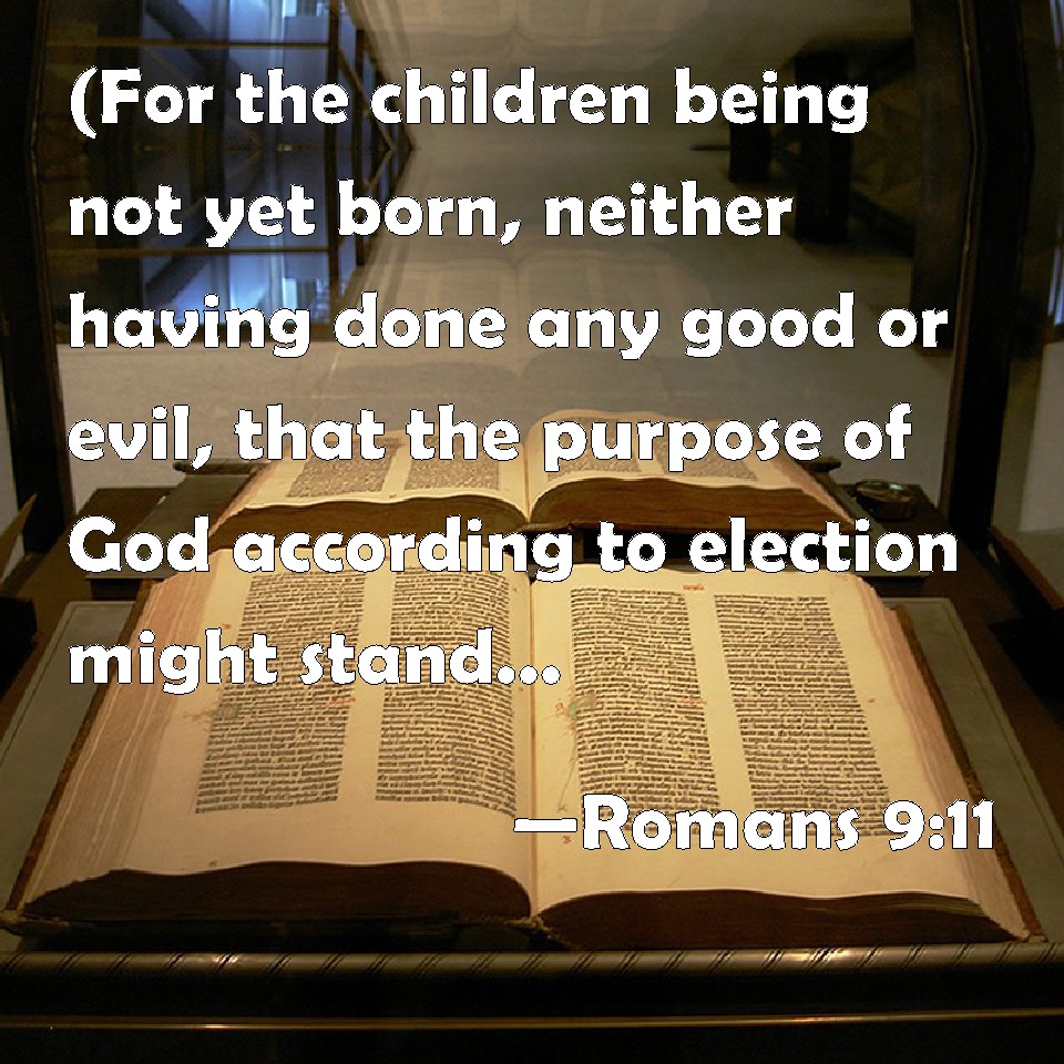 romans 11 nasb1995