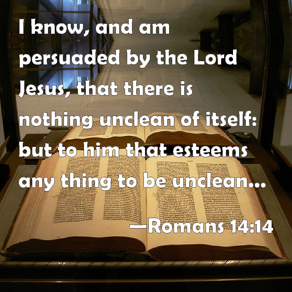 romans 14 meaning