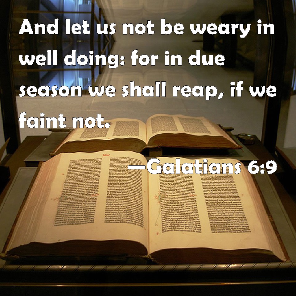 Galatians 6 9 And Let Us Not Be Weary In Well Doing For In Due Season 