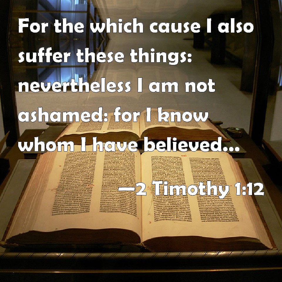 2 Timothy 112 For the which cause I also suffer these