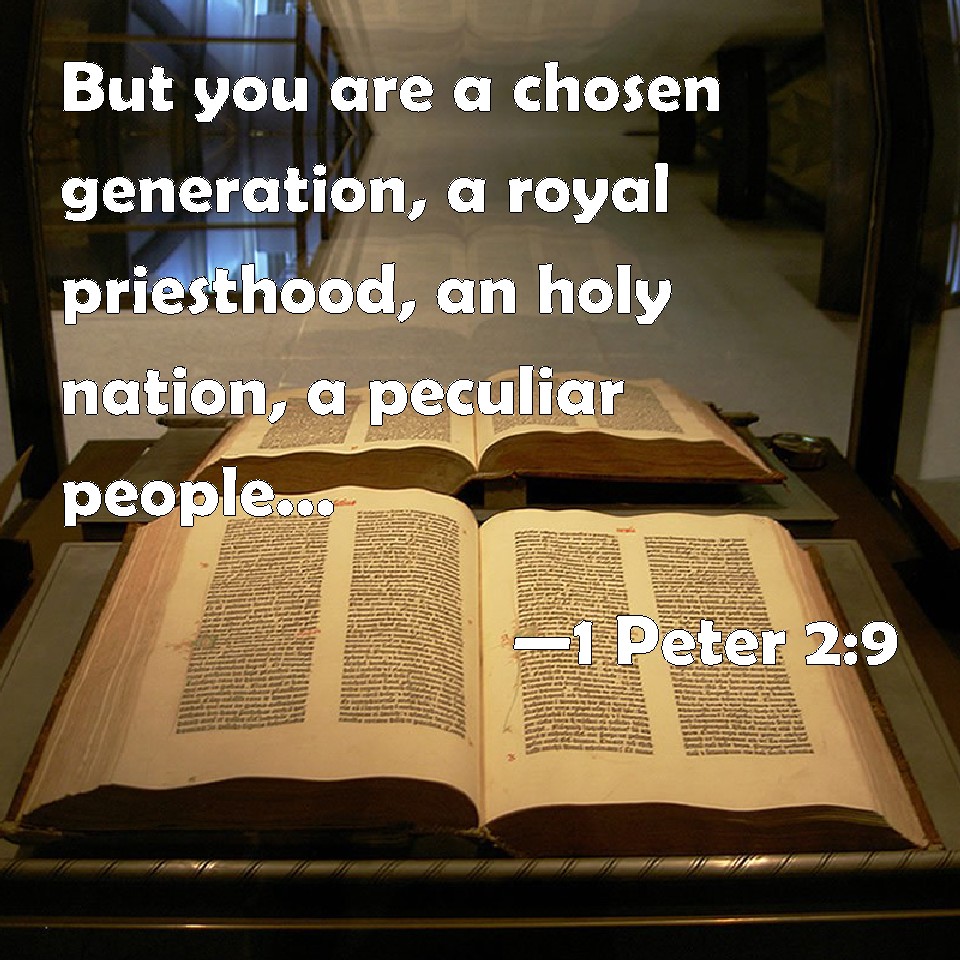 1 Peter 29 But You Are A Chosen Generation A Royal