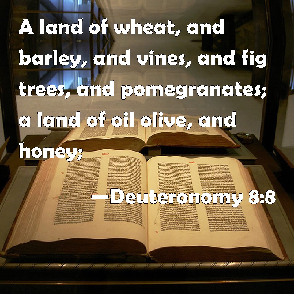 deuteronomy 8 nasb