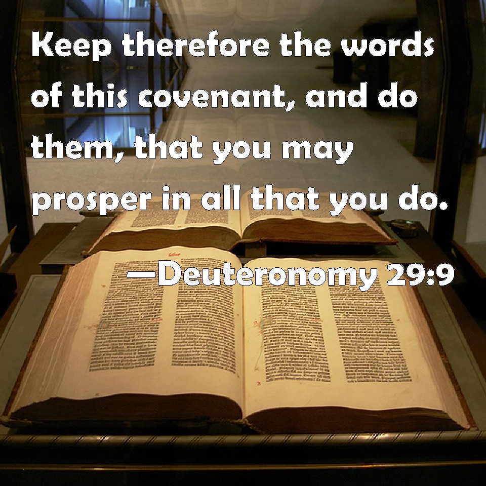 Deuteronomy 29:9 Keep therefore the words of this covenant, and do ...