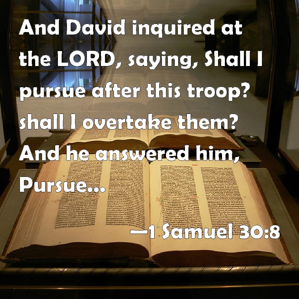 1 Samuel 308 And David inquired at the LORD, saying