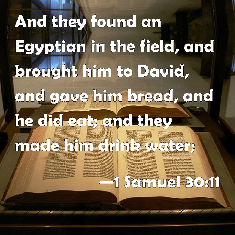 1 Samuel 3011 And they found an Egyptian in the field