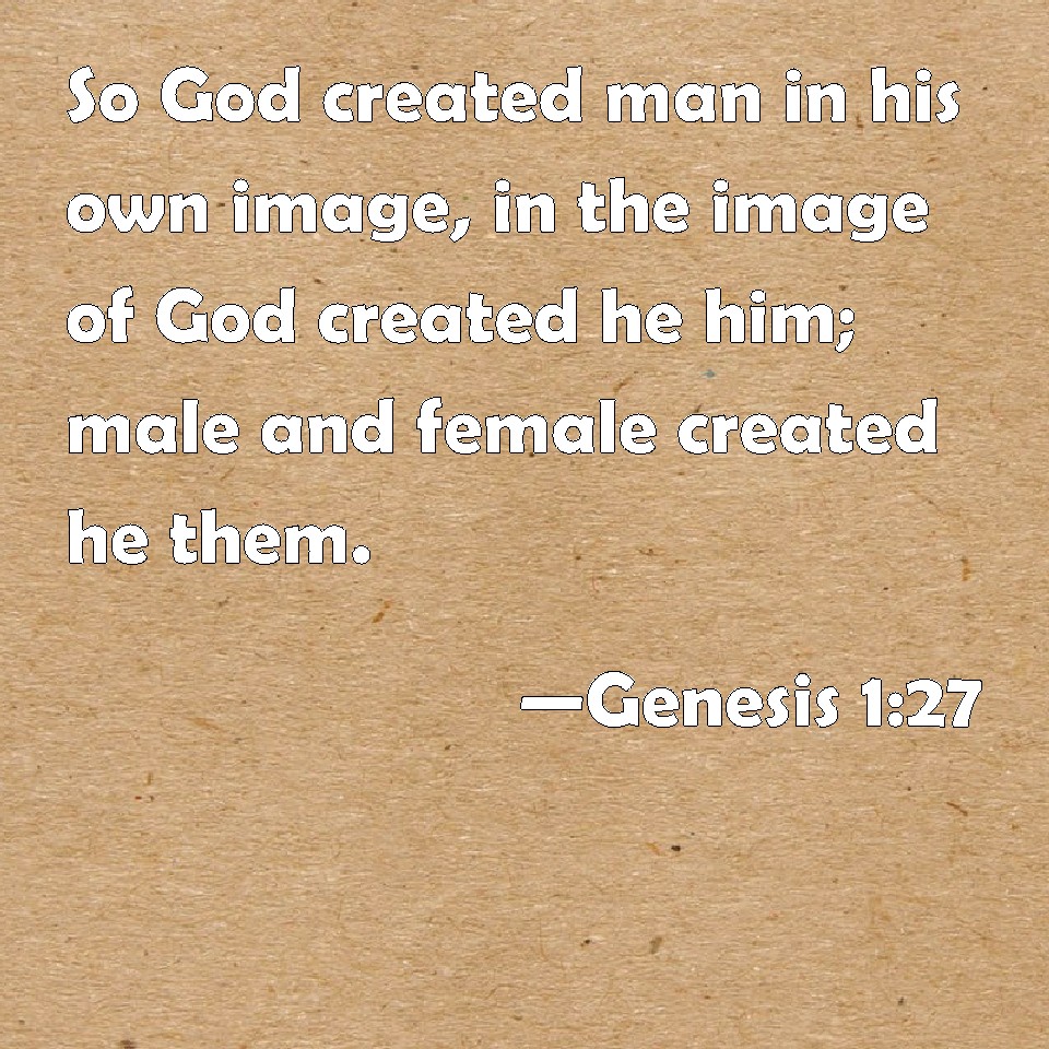 genesis-1-27-so-god-created-man-in-his-own-image-in-the-image-of-god