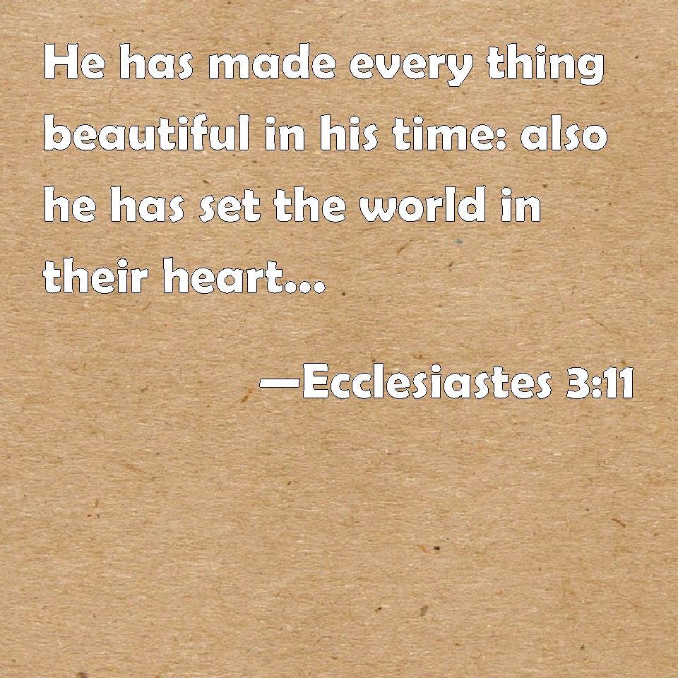 Ecclesiastes 3:11 He Has Made Every Thing Beautiful In His Time: Also ...