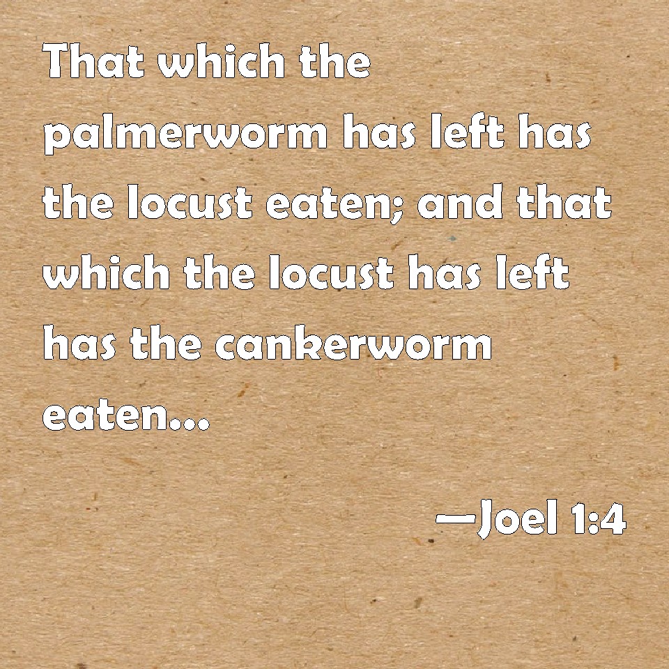 Joel 1:4 That Which The Palmerworm Has Left Has The Locust Eaten; And ...