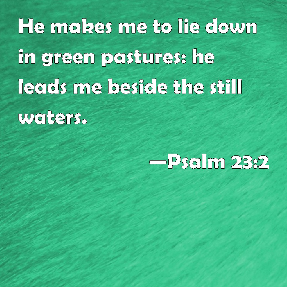 Psalm 23:2 He makes me to lie down in green pastures: he leads me ...