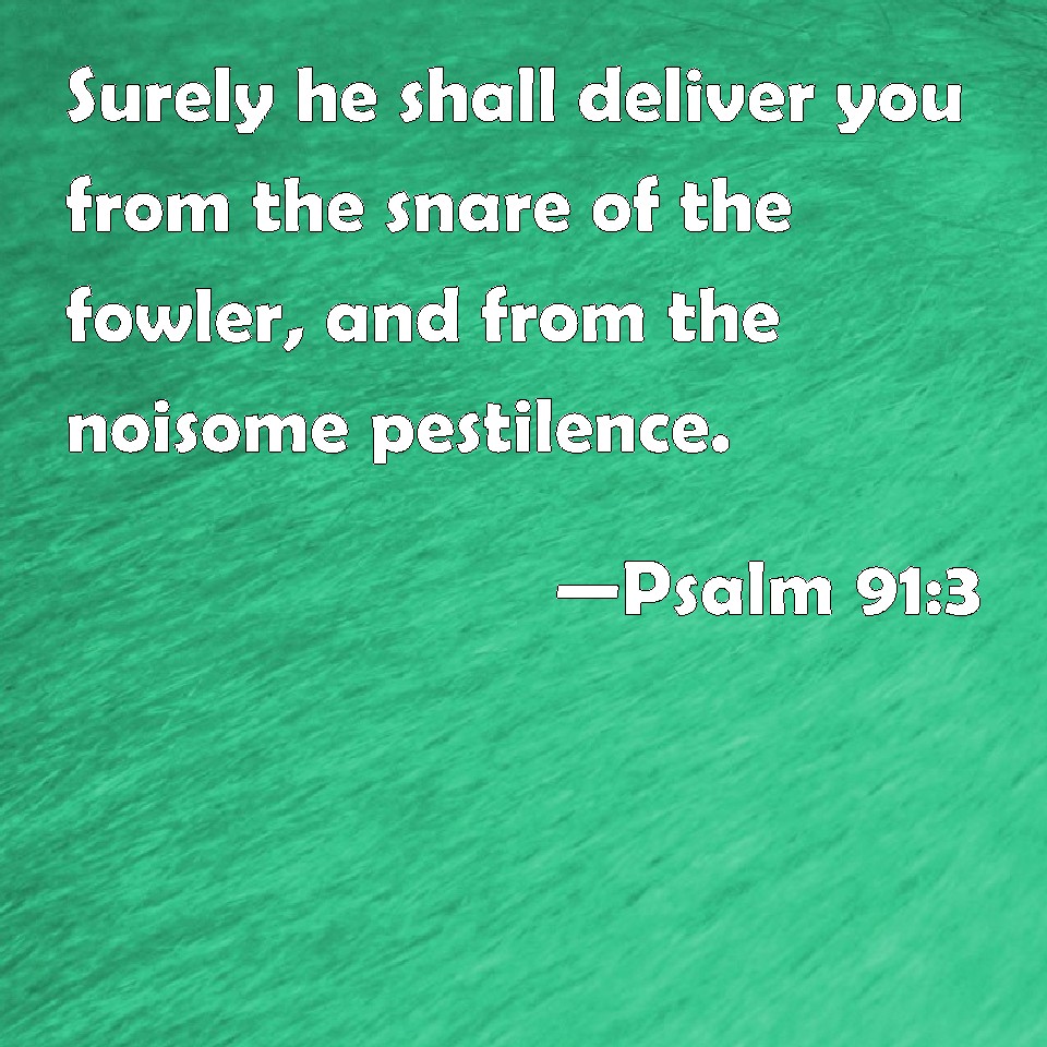 Psalm 91:3 Surely he shall deliver you from the snare of the fowler ...