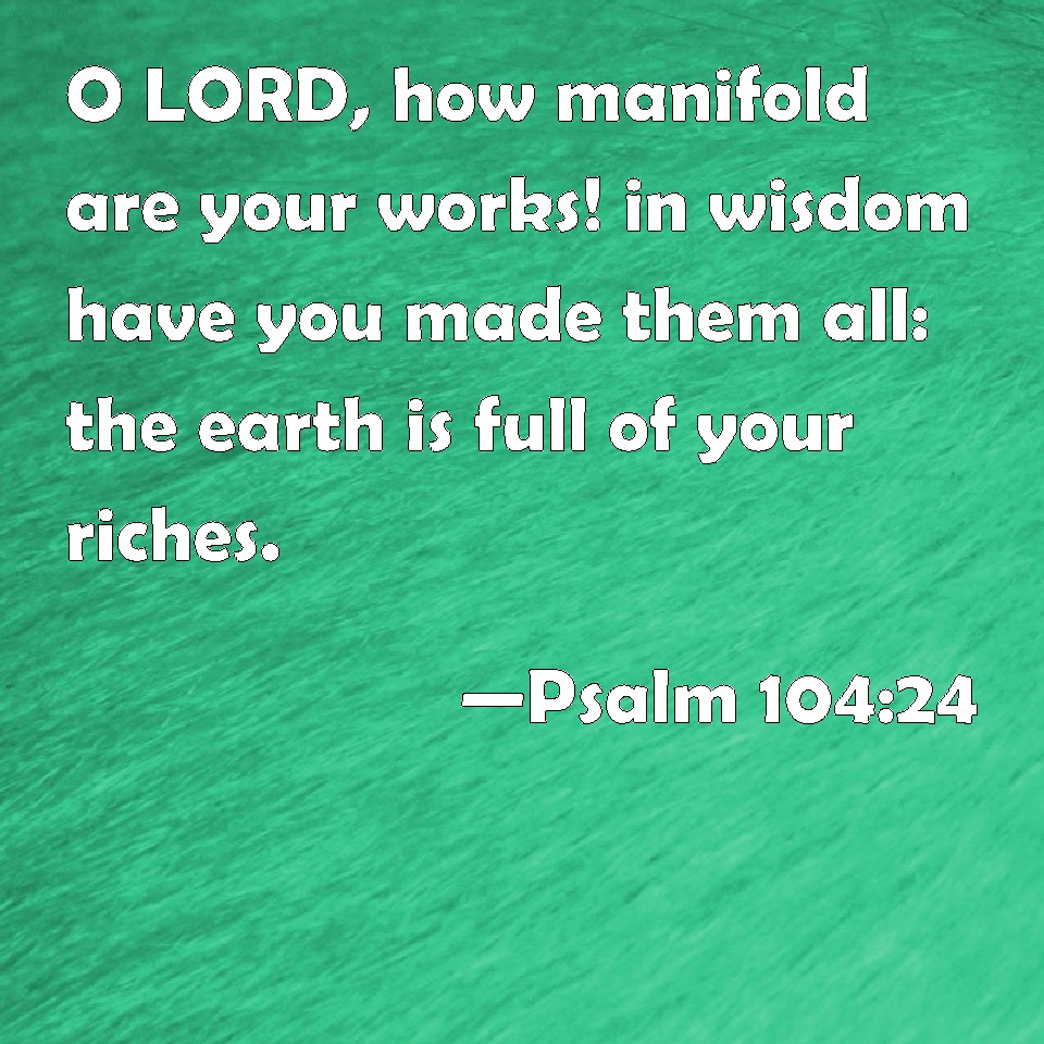 psalm-104-24-o-lord-how-manifold-are-your-works-in-wisdom-have-you